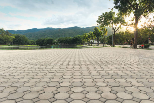 Paver Driveway Replacement in Toast, NC